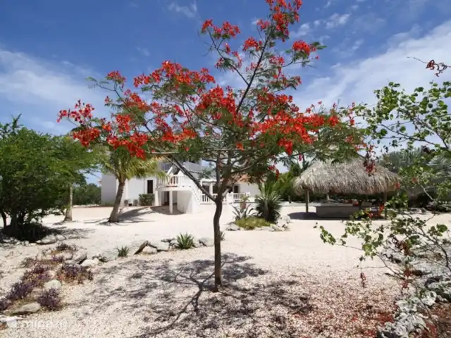 Villa Coral Curazao en Curazao, Bandabou (oeste), Coral Estate, Rif St.Marie - villa Extravagante