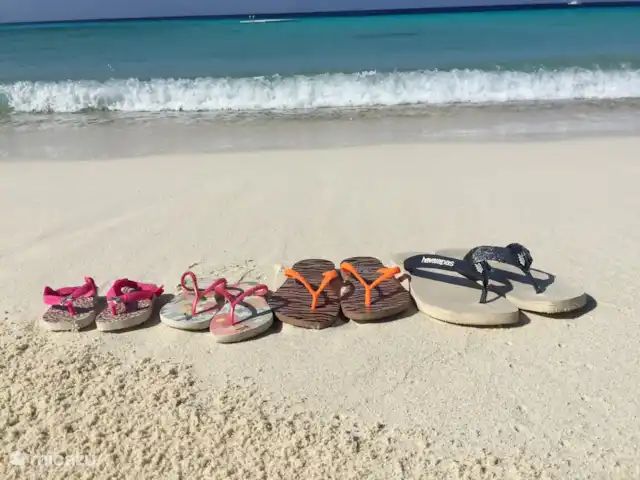 Villa Coral Curazao en Curazao, Bandabou (oeste), Coral Estate, Rif St.Marie - villa Playa