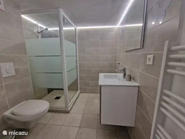 Hameau des Claudins nr 15 le Plan en Francia, Costa Azul, Le Plan-de-la-Tour - casa vacacional Cuarto de baño con inodoro, ducha y lavabo