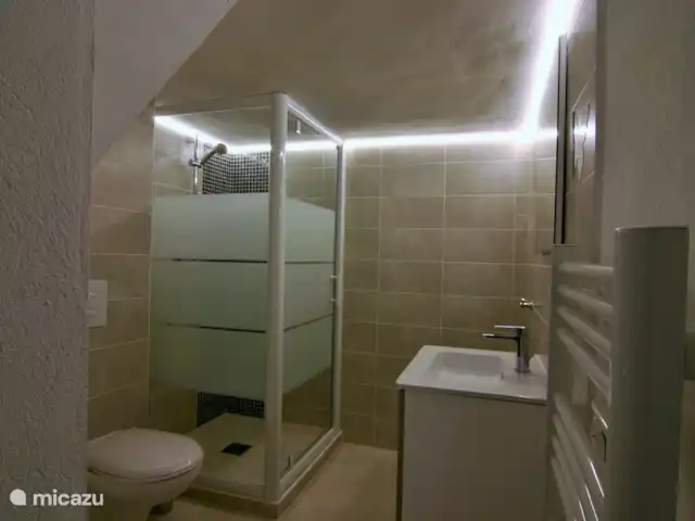 Hameau des Claudins nr 15 le Plan en Francia, Costa Azul, Le Plan-de-la-Tour - casa vacacional Cuarto de baño en la planta baja con inodoro, lavabo y ducha