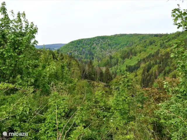 vakantiehuis huren in Duitsland, Beieren, Lichtenberg (Opper-franken)  – Vakantiehuis 'Fuchswechsel' De hellingen van het Höllental