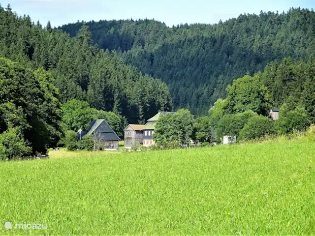 vakantiehuis huren in Duitsland, Beieren, Lichtenberg (Opper-franken)  – Vakantiehuis 'Fuchswechsel' Schitterend wandelen