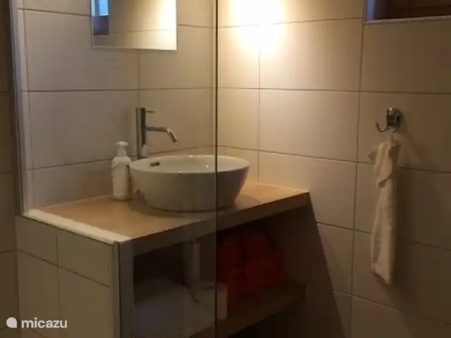 Bellwald huren in Zwitserland, Wallis, Bellwald - chalet Badkamer
