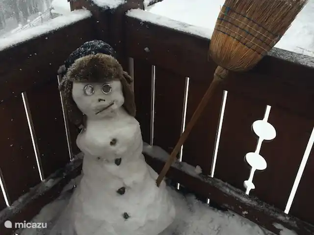 Bellwald huren in Zwitserland, Wallis, Bellwald - chalet Balkon