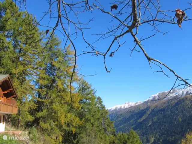 Bellwald huren in Zwitserland, Wallis, Bellwald - chalet Uitzicht