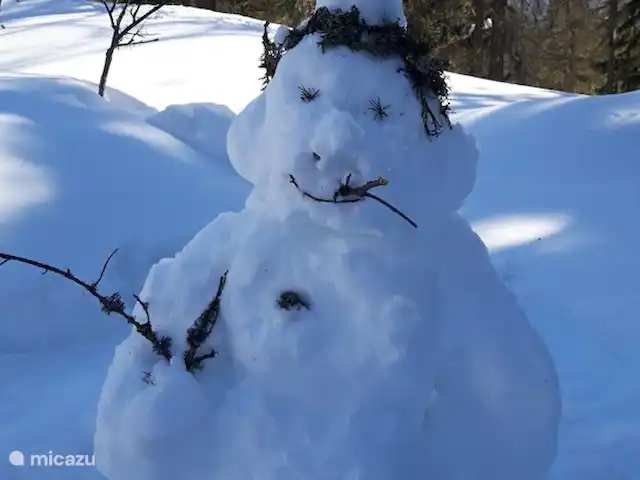 Bellwald huren in Zwitserland, Wallis, Bellwald - chalet Sneeuwpret