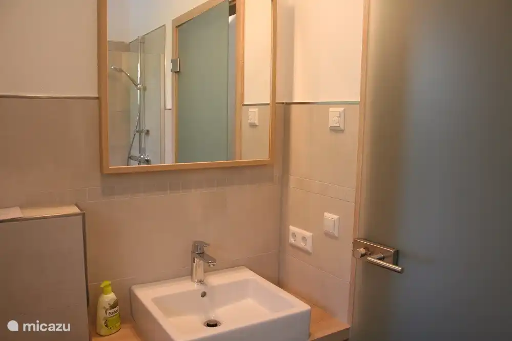 Ba&#241;o 1 planta baja