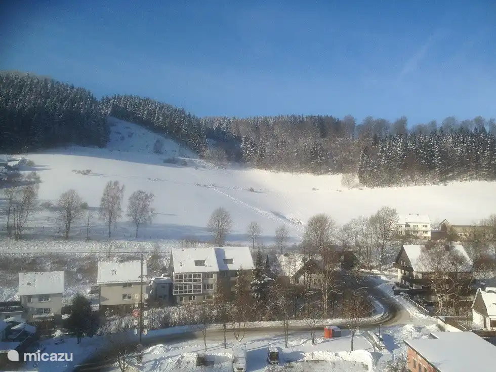 Vista de invierno desde la sala de estar.
