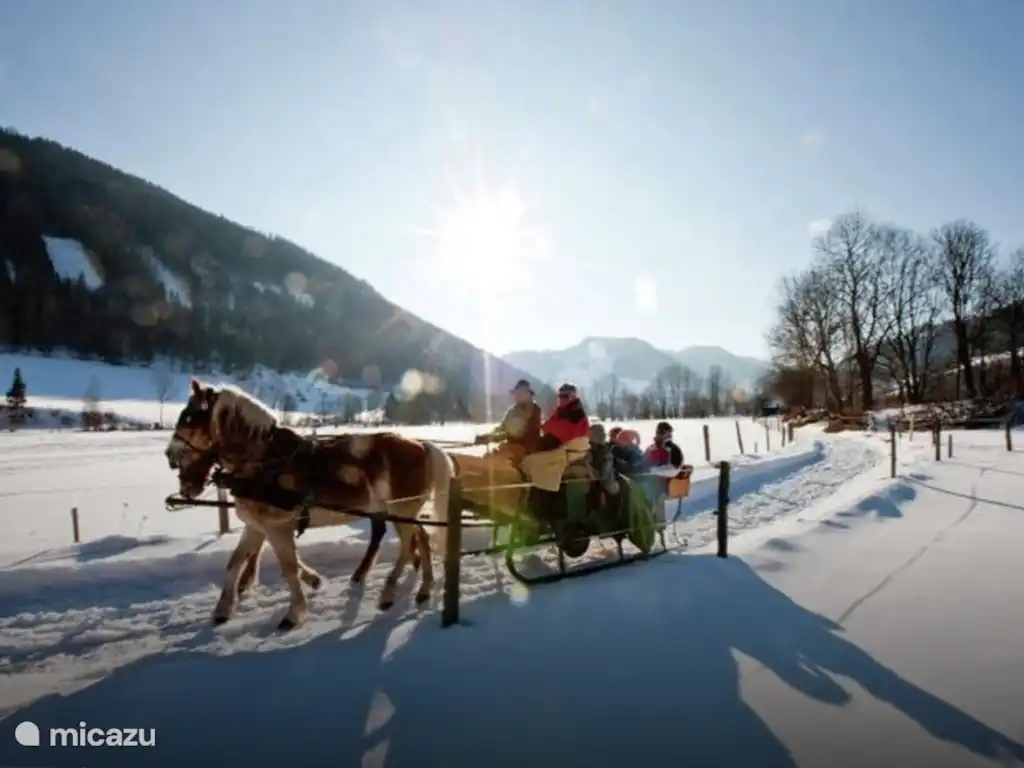 Viel (Winter) Aktivitäten