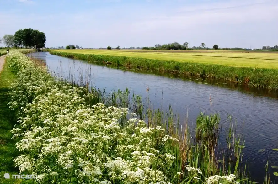 In der Nähe von Langweer
