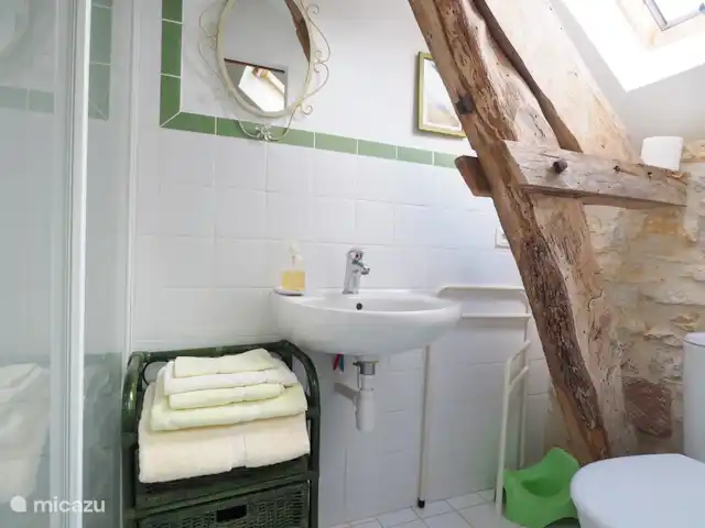 La Pigeonnière 5 | France, Dordogne, Martel - maison de vacances Salle de bains