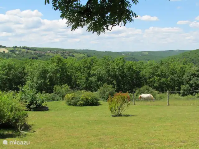 La Pigeonnière 5 | France, Dordogne, Martel - maison de vacances Jardin