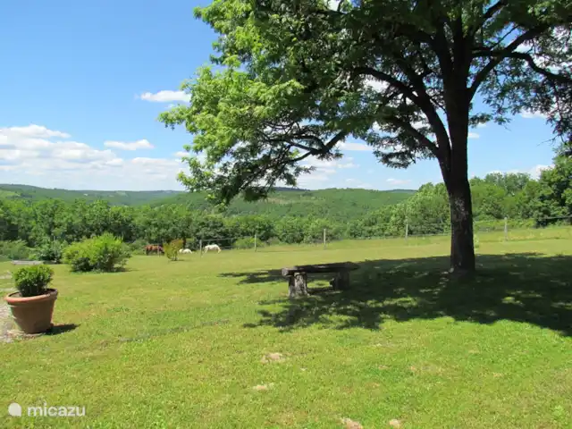 La Pigeonnière 5 | France, Dordogne, Martel - maison de vacances Jardin