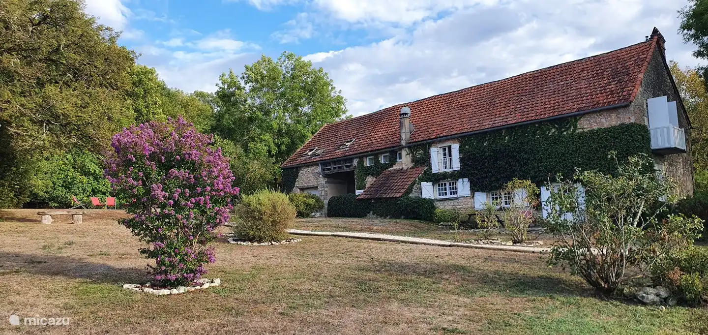 De heerlijke grote tuin