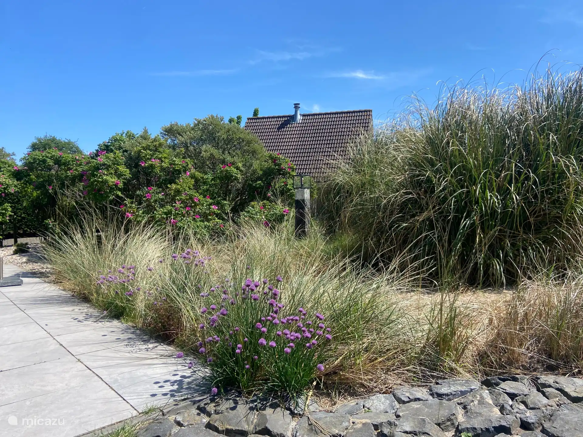 Der großzügige Dünengarten bietet viel Privatsphäre 