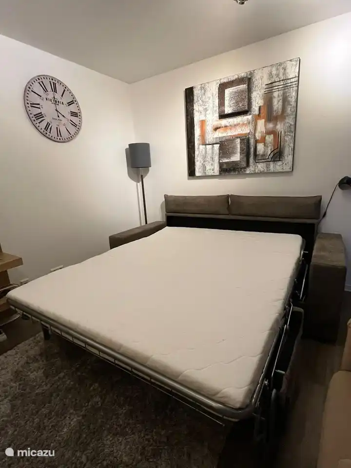 The spacious luxury sofa bed (transformed into a bed in five seconds).