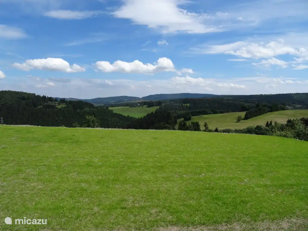 View from the garden