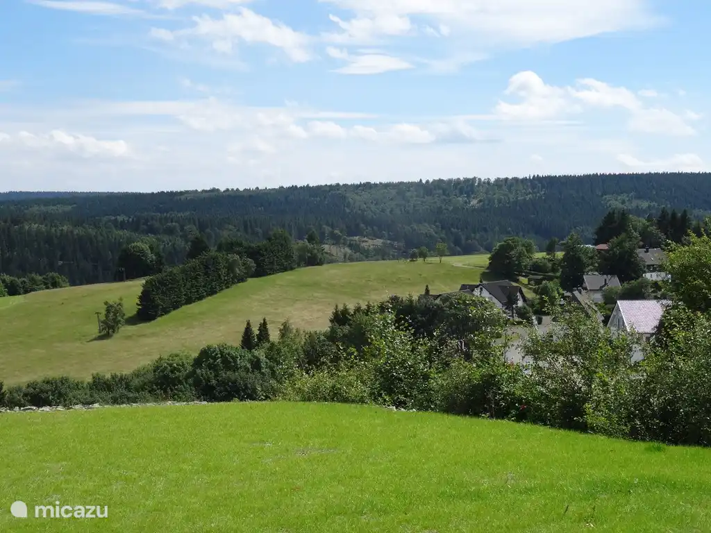 View from the garden to the right