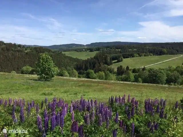 View from apartment (photo was taken on June 1, 2020).