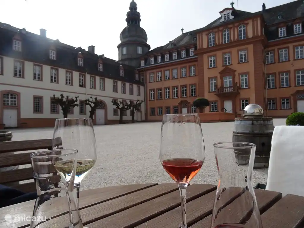 Setting: Castle in Bad Berleburg