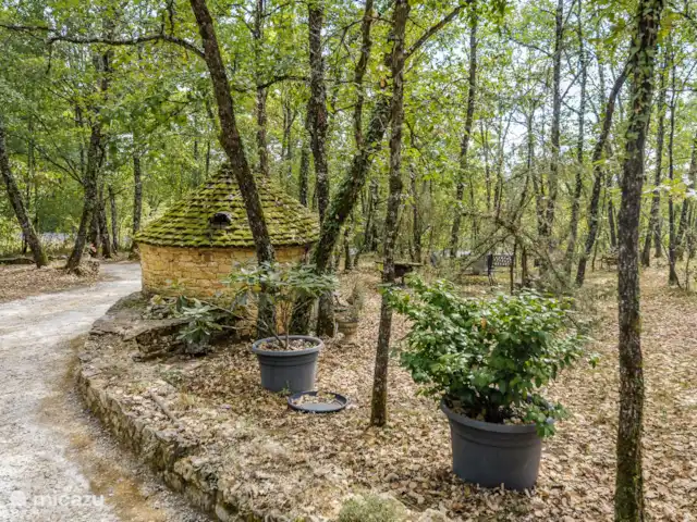 Denis | France, Dordogne, Carlux - maison de vacances Le jardin
