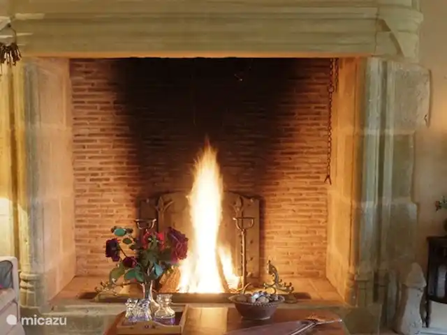 landhuis / kasteel huren in Frankrijk, Corrèze, Ayen – Abdij de living