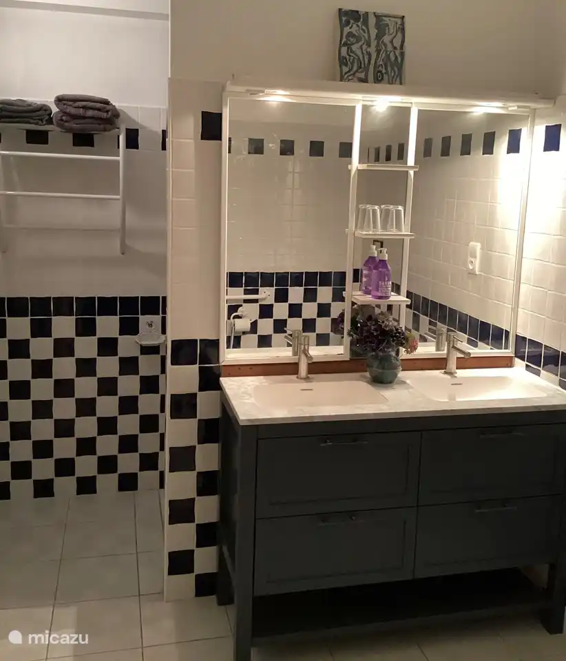 Kürzlich renoviertes Badezimmer im Erdgeschoss mit ebenerdiger Dusche und Toilette.