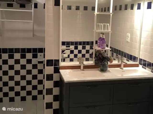 landhuis / kasteel huren in Frankrijk, Corrèze, Ayen – Abdij Recent gerenoveerde badkamer op de begane grond met inloopdouche en toilet.