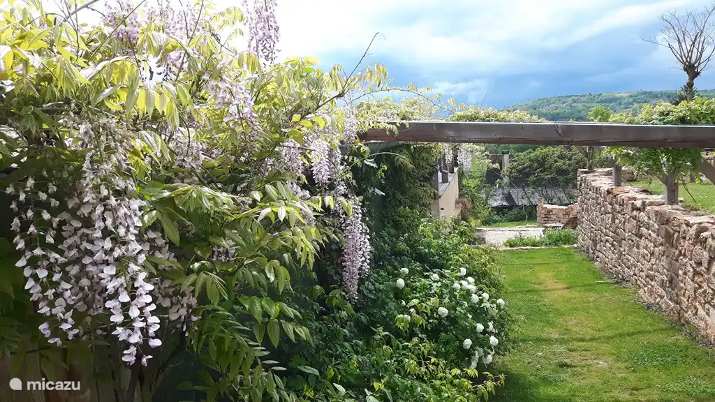 Durch ein Meer von Blumen auf den Pool