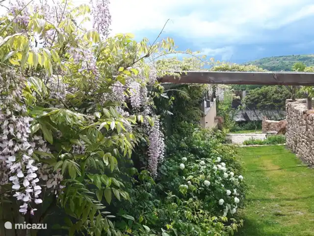 landhuis / kasteel huren in Frankrijk, Corrèze, Ayen – Abdij Door een bloemenzee naar het zwembad