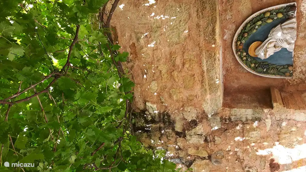 Angenehme Terrasse unter den Weinblättern