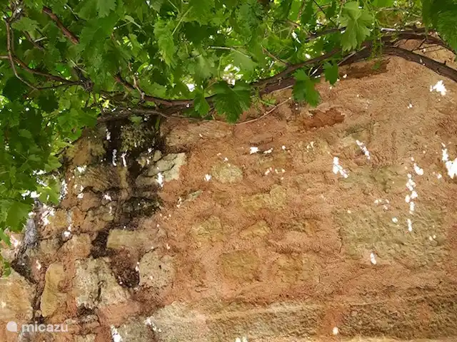 landhuis / kasteel huren in Frankrijk, Corrèze, Ayen – Abdij Aangenaam terras onder de druivenbladeren