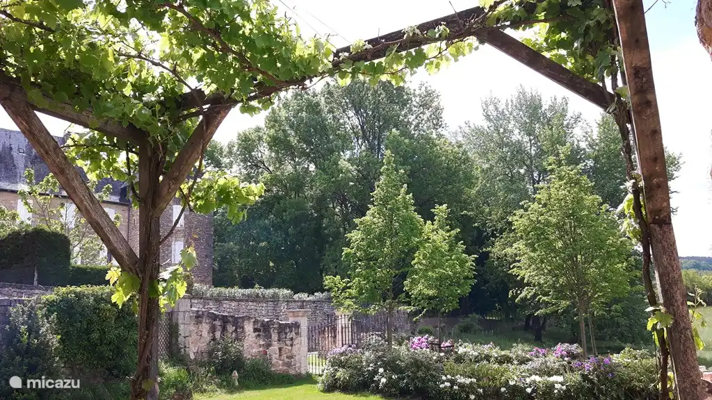 Schöne Terrasse unter den Reben