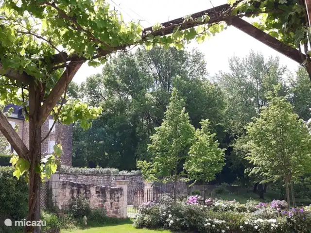 landhuis / kasteel huren in Frankrijk, Corrèze, Ayen – Abdij Heerlijk terras onder de druiven ranken