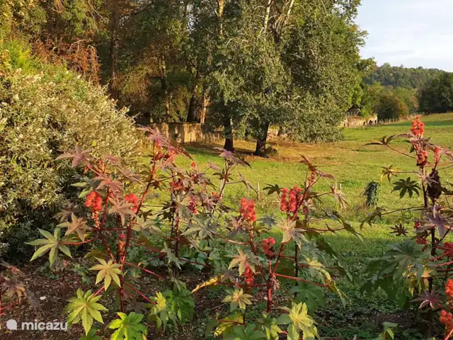landhuis / kasteel huren in Frankrijk, Corrèze, Ayen – Abdij Uitzicht vanuit de tuin