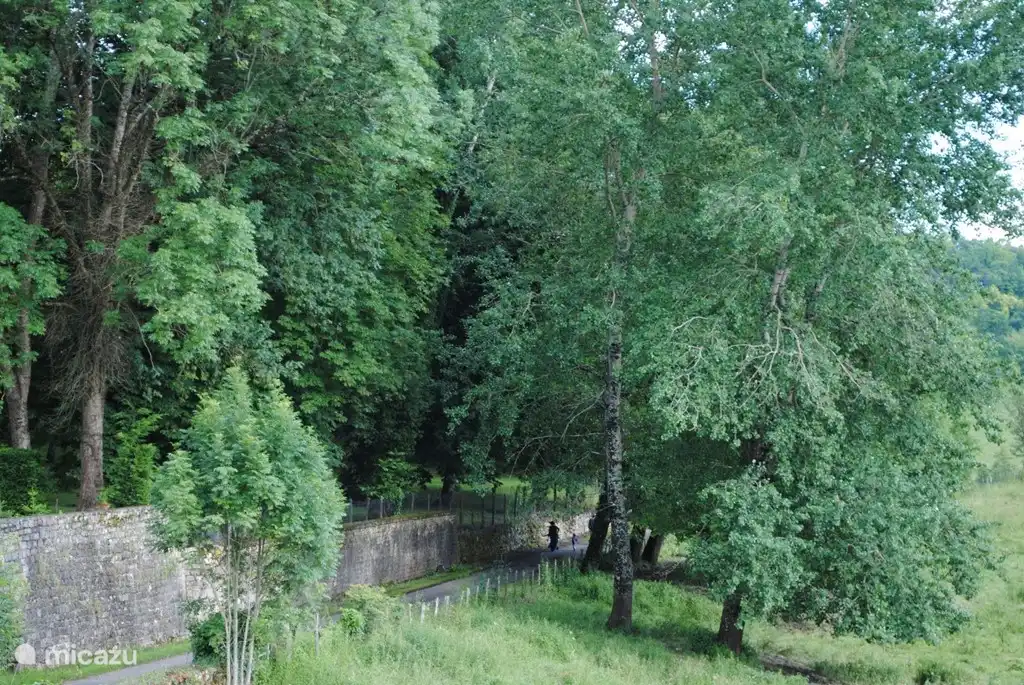 Jahrhundertealten Bäumen Gasse nebenan für Bummel