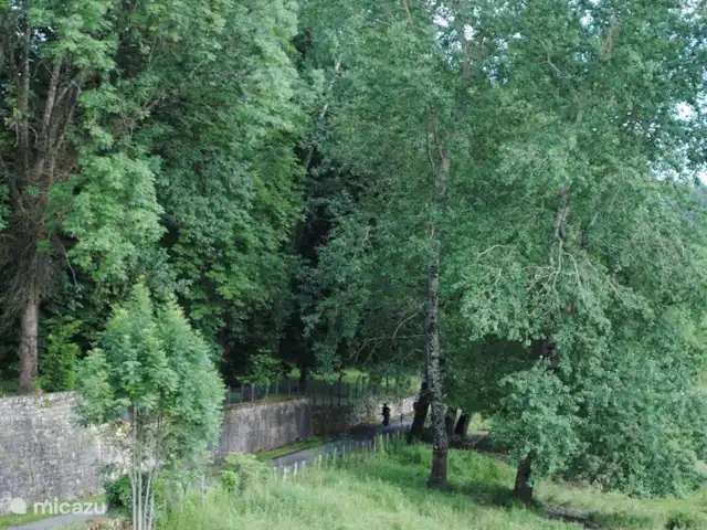 landhuis / kasteel huren in Frankrijk, Corrèze, Ayen – Abdij Eeuwen oude bomenlaan naast de deur voor heerlijke wandeling