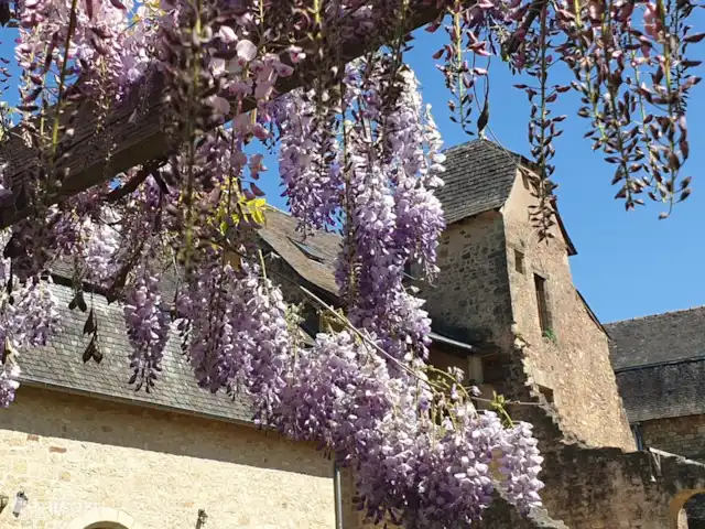 landhuis / kasteel huren in Frankrijk, Corrèze, Ayen – Abdij Blauwe regen, naast het zwembad