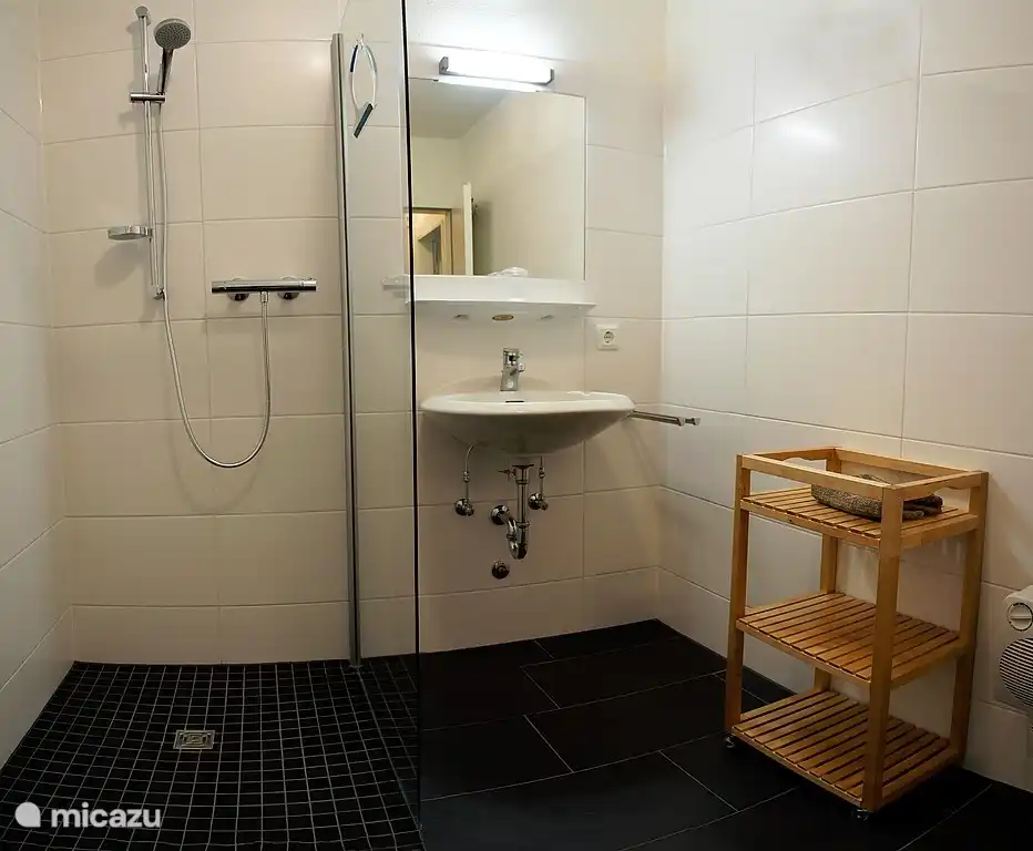 Luxuriöse Badezimmer mit Dusche