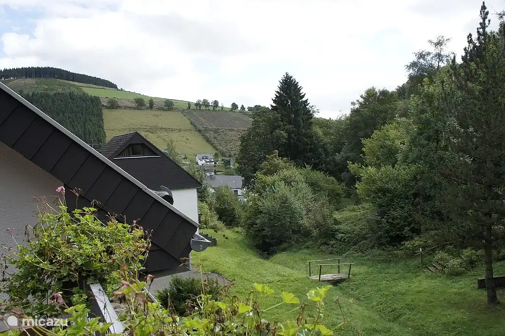 Blick über den Wald und Tal