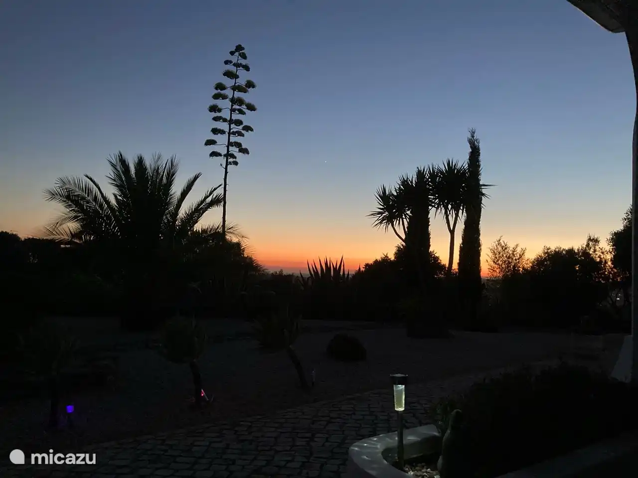 La silueta fantásticamente hermosa del jardín delantero al atardecer