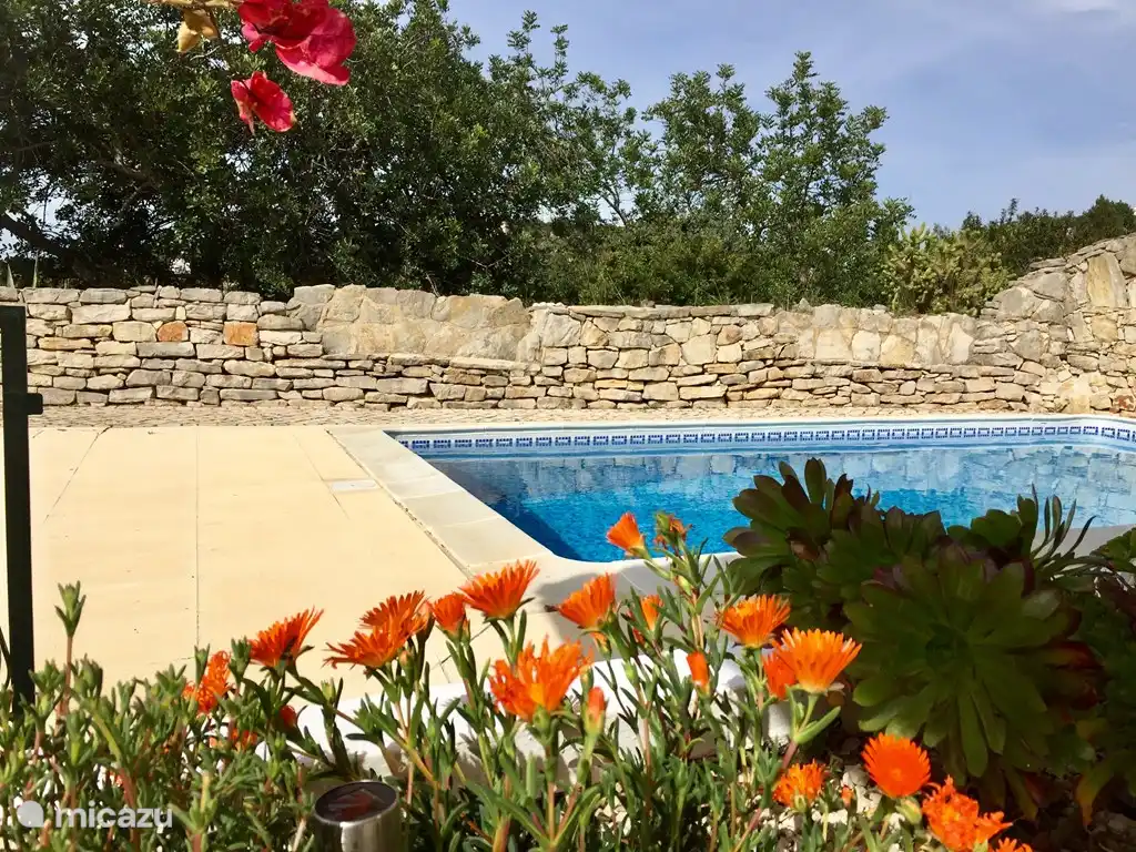 Vista de la piscina desde la terraza