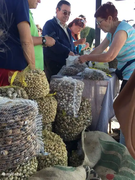Mercado de los sábados de Olhão. Conocido por su mercado de pescado fresco, frutas y verduras 