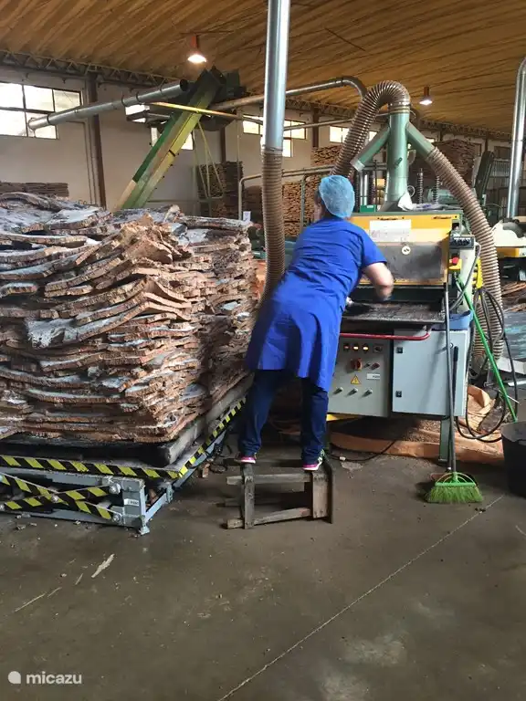 ¡Merece la pena visitar la fábrica de corcho de Novacortiça