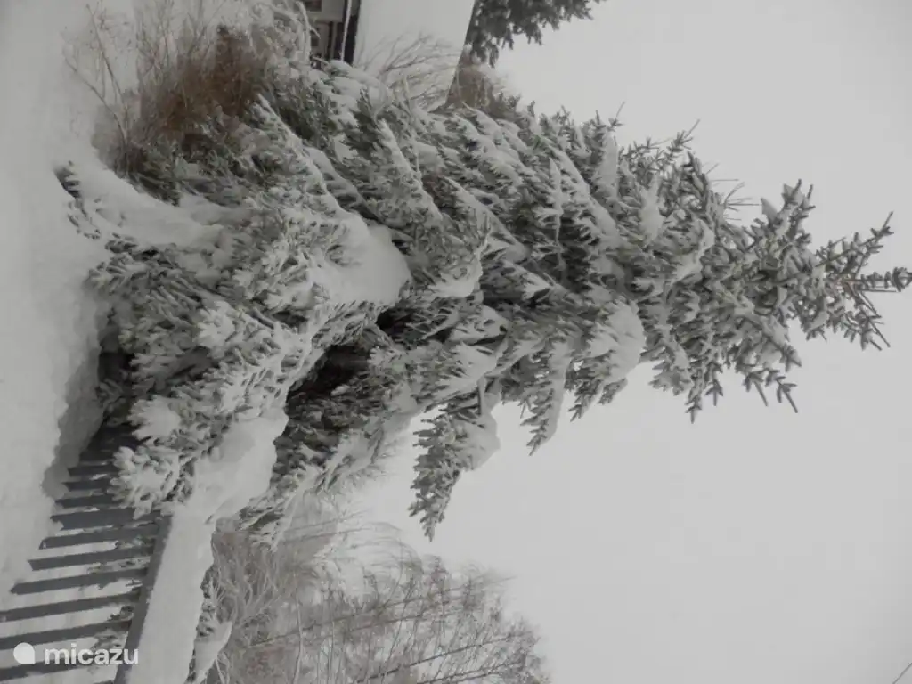 bonita foto en la esquina de la entrada