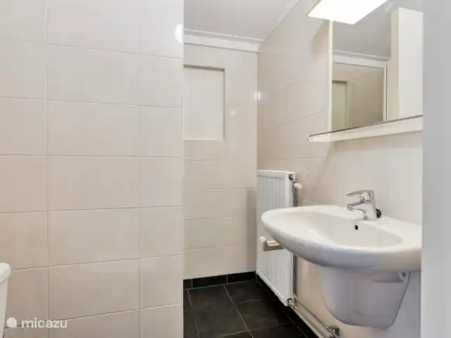 el martín pescador en Países Bajos, Güeldres, Winterswijk - bungaló el 2º baño con ducha/inodoro y lavabo