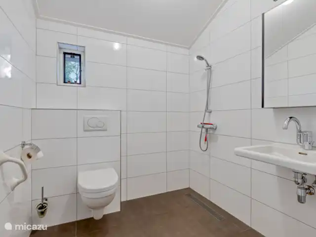el martín pescador en Países Bajos, Güeldres, Winterswijk - bungaló El amplio baño apto para discapacitados
