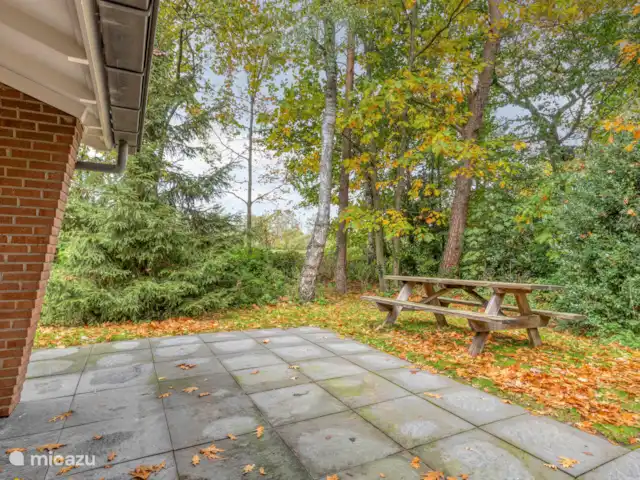 el martín pescador en Países Bajos, Güeldres, Winterswijk - bungaló El asiento trasero