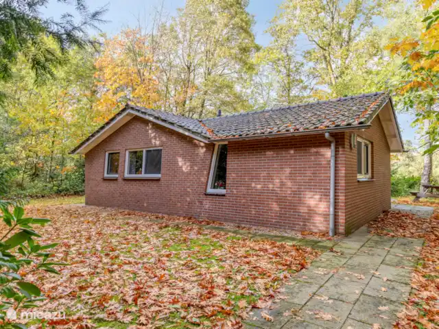 el martín pescador en Países Bajos, Güeldres, Winterswijk - bungaló Perfil