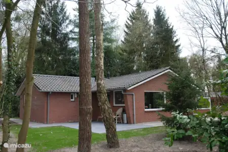 Vakantiehuis Nederland, Gelderland, Winterswijk bungalow De IJsvogel Vakantiehuis Nederland, Gelderland, Winterswijk bungalow De IJsvogel